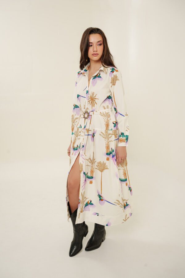 Savara Dress