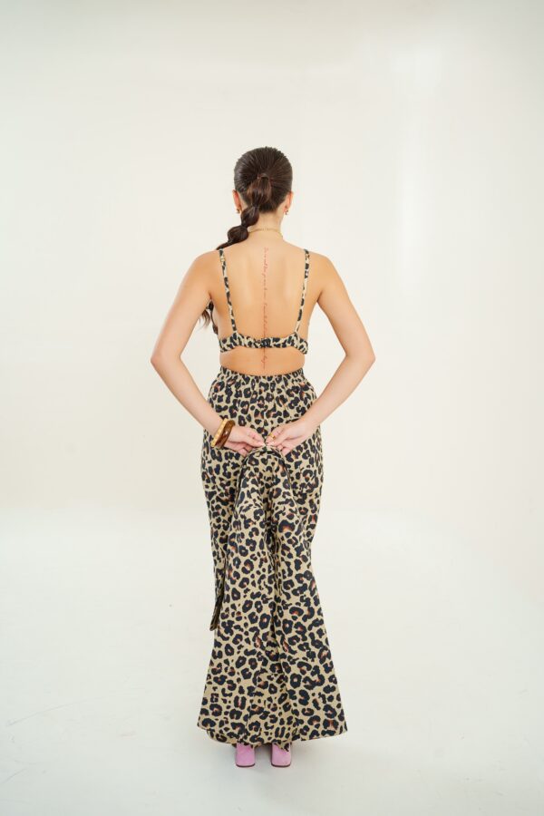 Leo Set